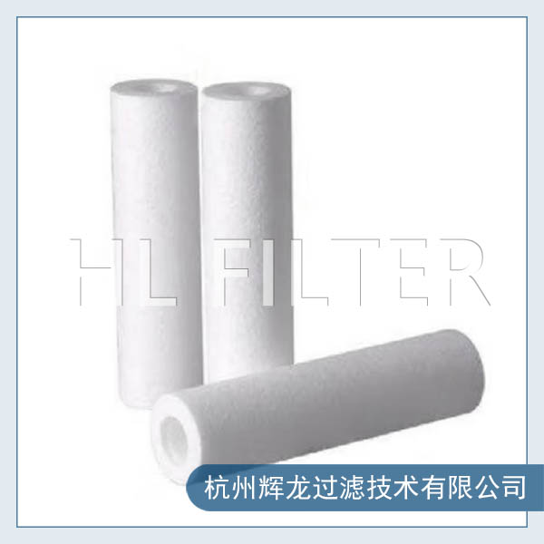 保安過(guò)濾器濾芯1